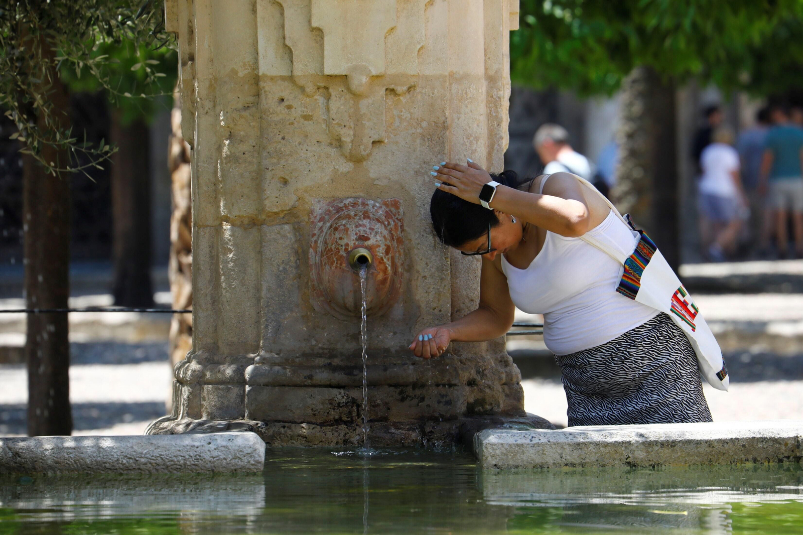 Una persona se refresca en el Patio de los Naranjos. Una persona se refresca en el Patio de los Naranjos.