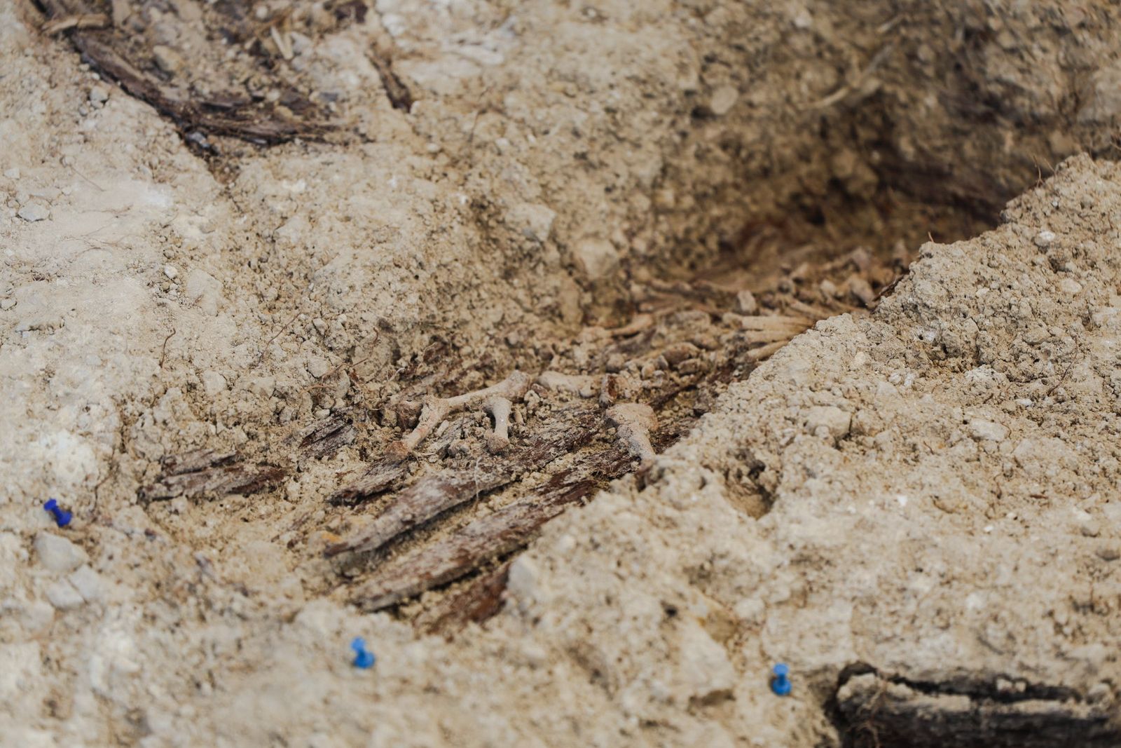 Imágenes de la exhumación de fosas comunes en el cementerio de Huelva para buscar posibles bebés robados