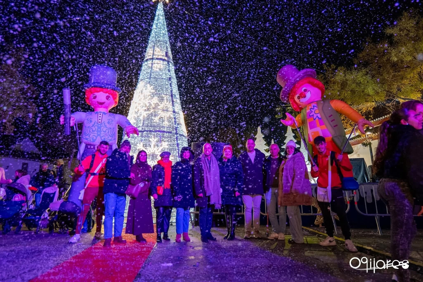 El municipio granadino ya luce los adornos navideños que engalanarán las fiestas.