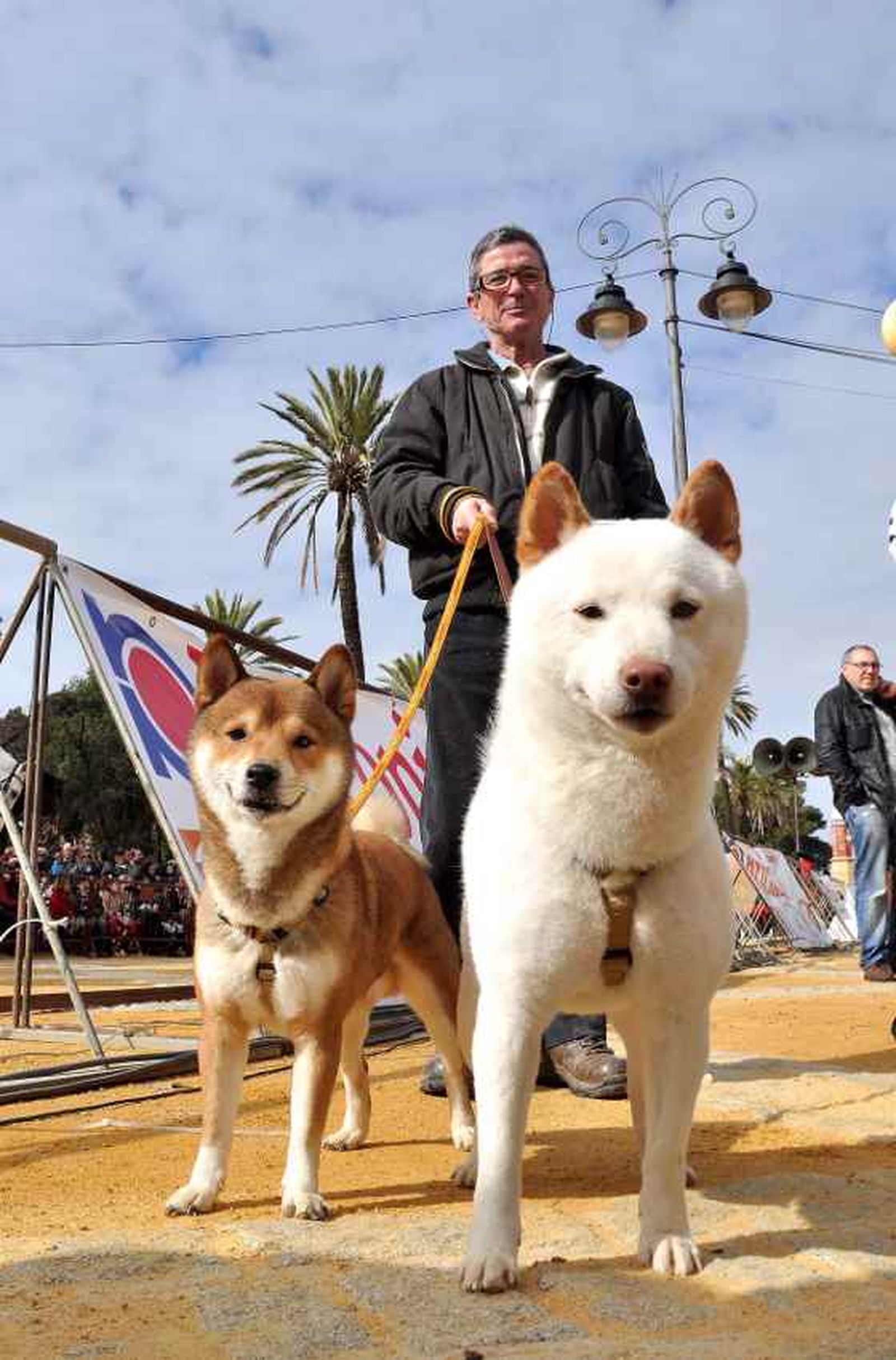El parque González Hontoria acoge un año más la festividad de San Antón en el que los perros protagonizan la celebración pues de los 800 animales inscritos 600 eran canes.

Foto: Manu Garcia