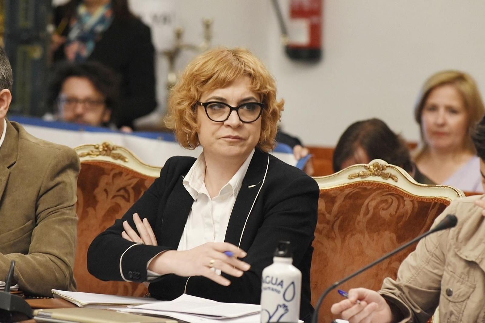 La presidenta de la Fundación Rafael Botí, Marisa Ruz, durante el Pleno.