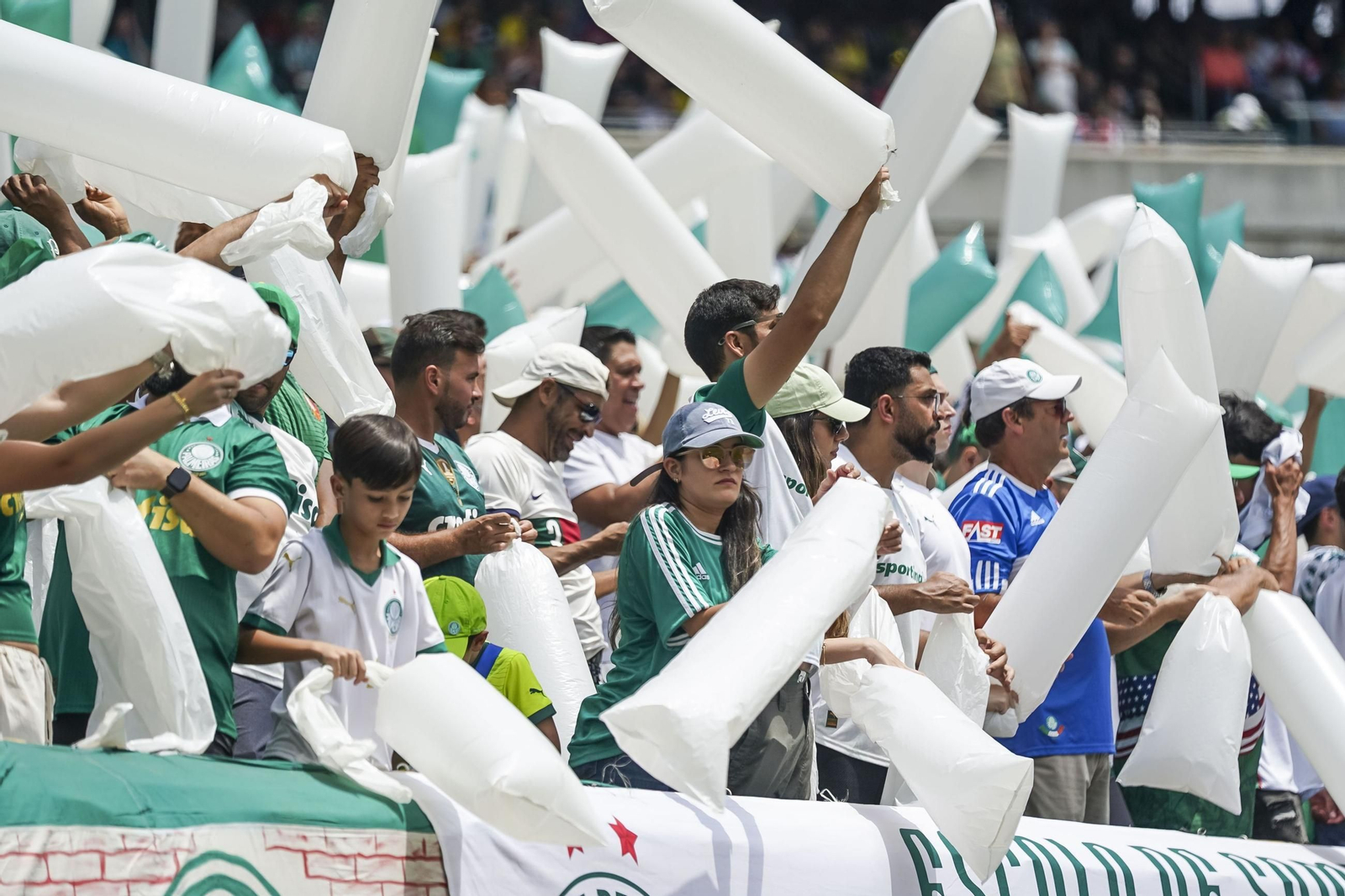 Palmeiras-Botafogo (5).jpg