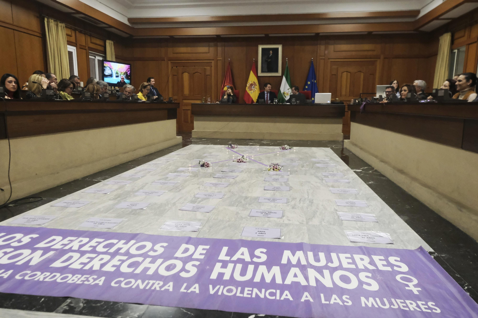 El Pleno del Ayuntamiento de Córdoba contra la violencia a las mujeres, en imágenes