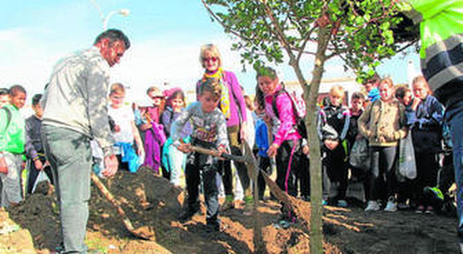 Alumnos de la localidad colaboran en la plantación de un algarrobo en la fiesta del Árbol.