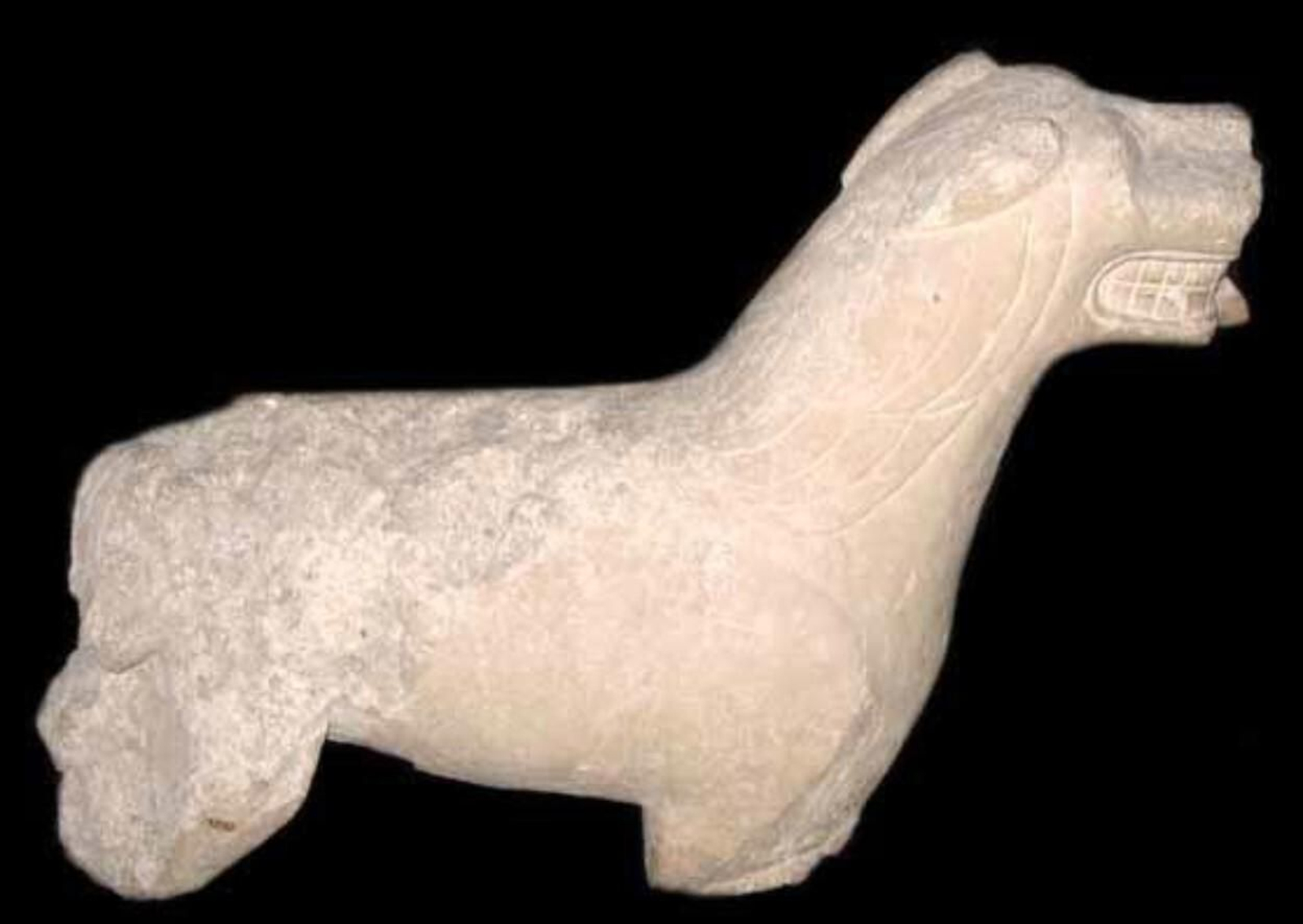 Leona de Bujalance, conservada en el Arqueológico de Córdoba. Las leonas íberas de Córdoba, en imágenes