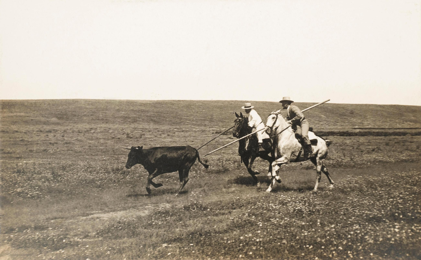 José Luis de Pablo-Romero Artaloitia corriendo un tentadero de machos de Conradi.