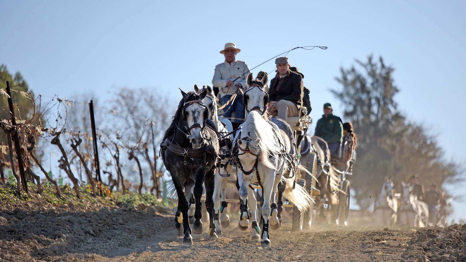 II Ruta Viñas de Jerez