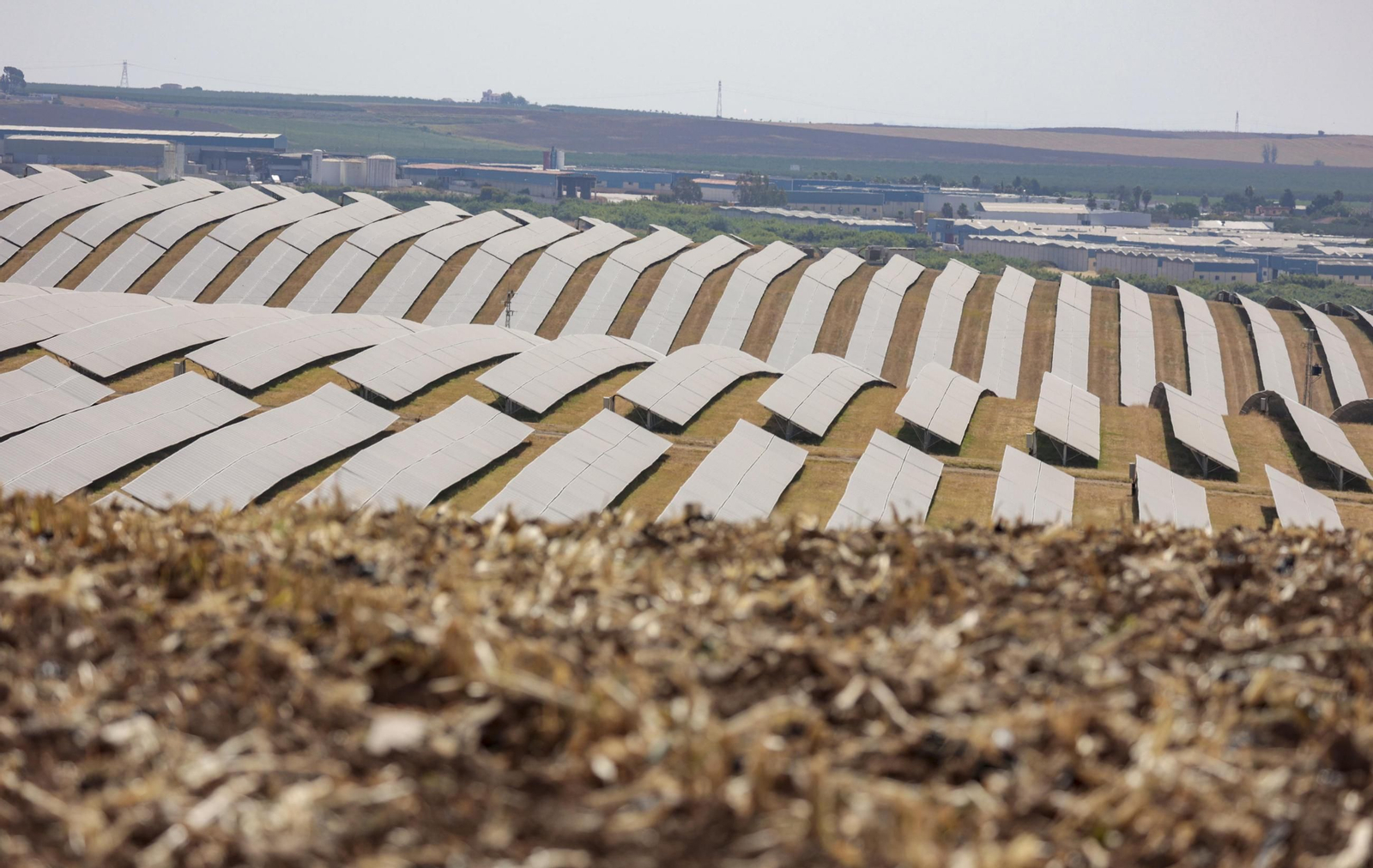 Terreno plagado de placas solares