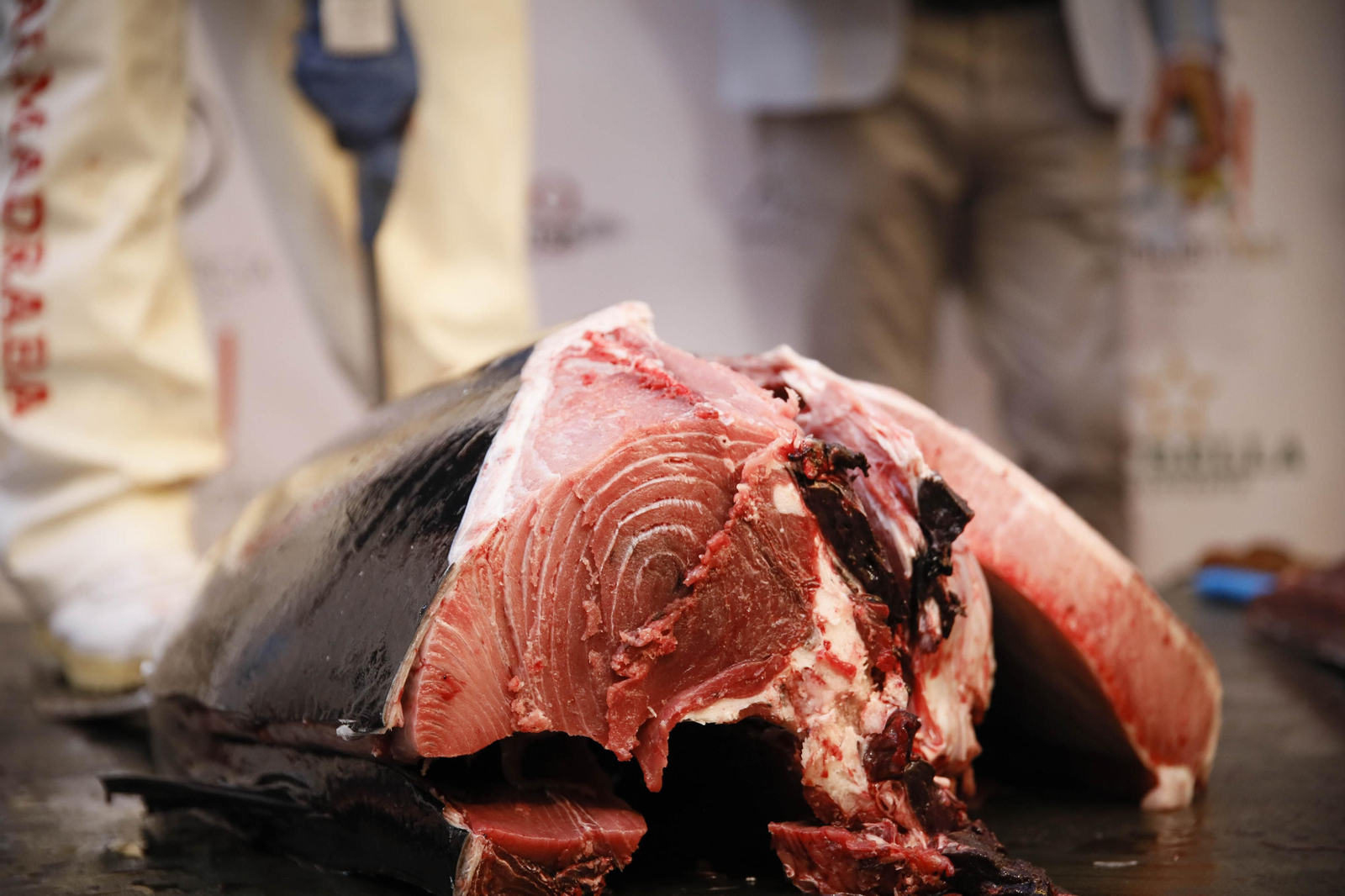 El ronqueo del atún en el Espacio Gatronómico Tony García, en imágenes