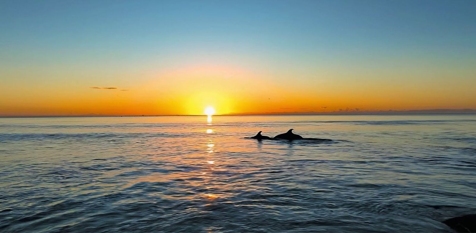 Cuevas del Almanora presume de un litoral privilegiado.