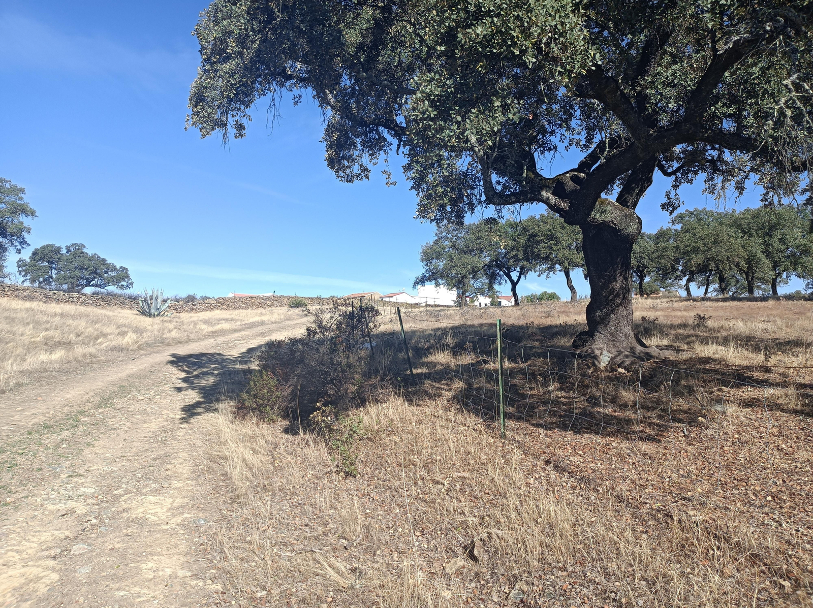 No llegamos a entrar en Juan Antón, lo dejaremos a un lado. Sí veremos alguna granja.