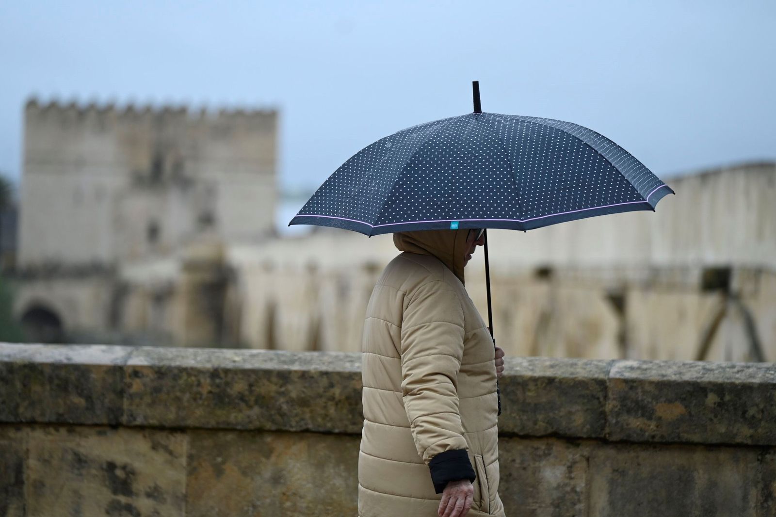 Una persona se protege de la lluvia con un paraguas en el entorno del Puente Romano.