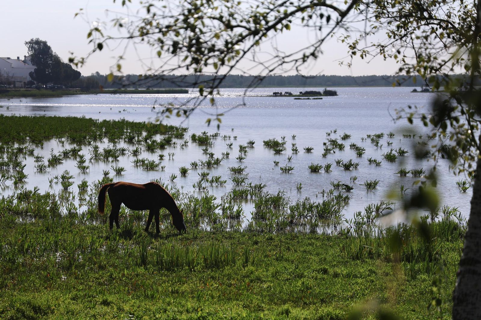 Imágenes del ambiente en el sábado 16 de marzo en Huelva