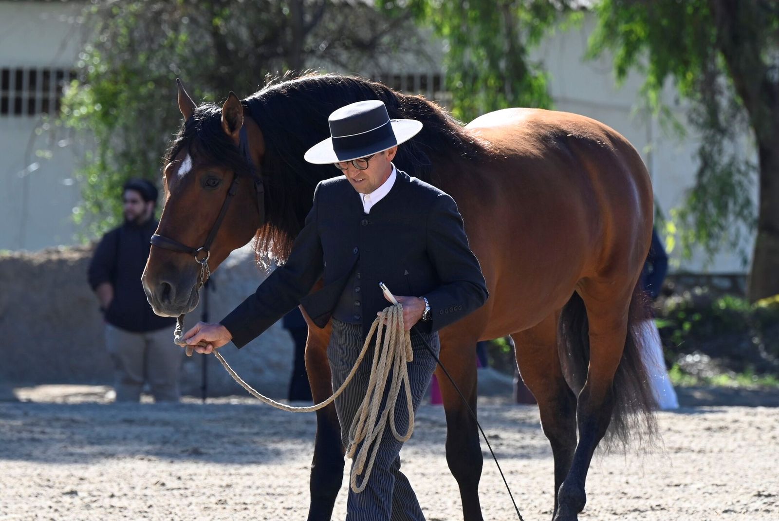 La Presentación de Sementales PRE 2026 en Córdoba, en imágenes