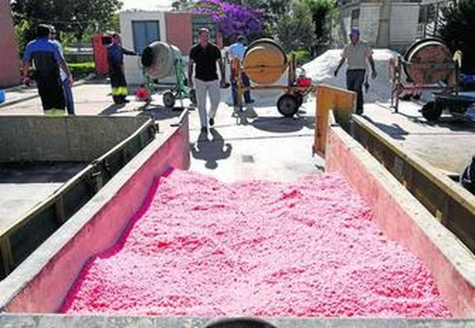 Parte de las 70 toneladas de sal que se están tiñendo para la fiesta.