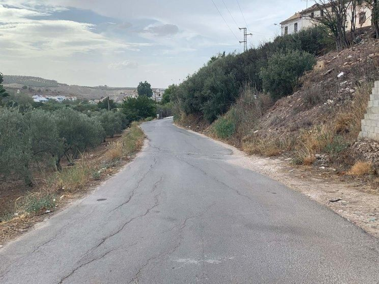 Carretera del Río de Oro de Puente Genil que será remodelada.