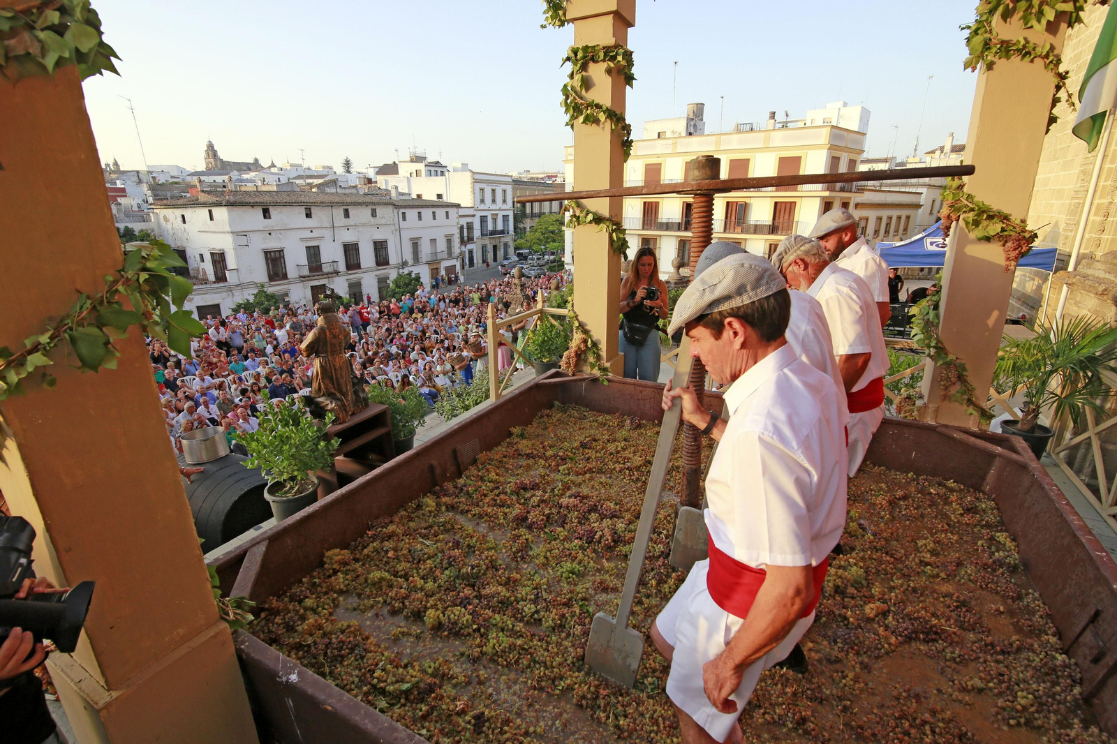 Imágenes de la pisa de la uva en la Catedral