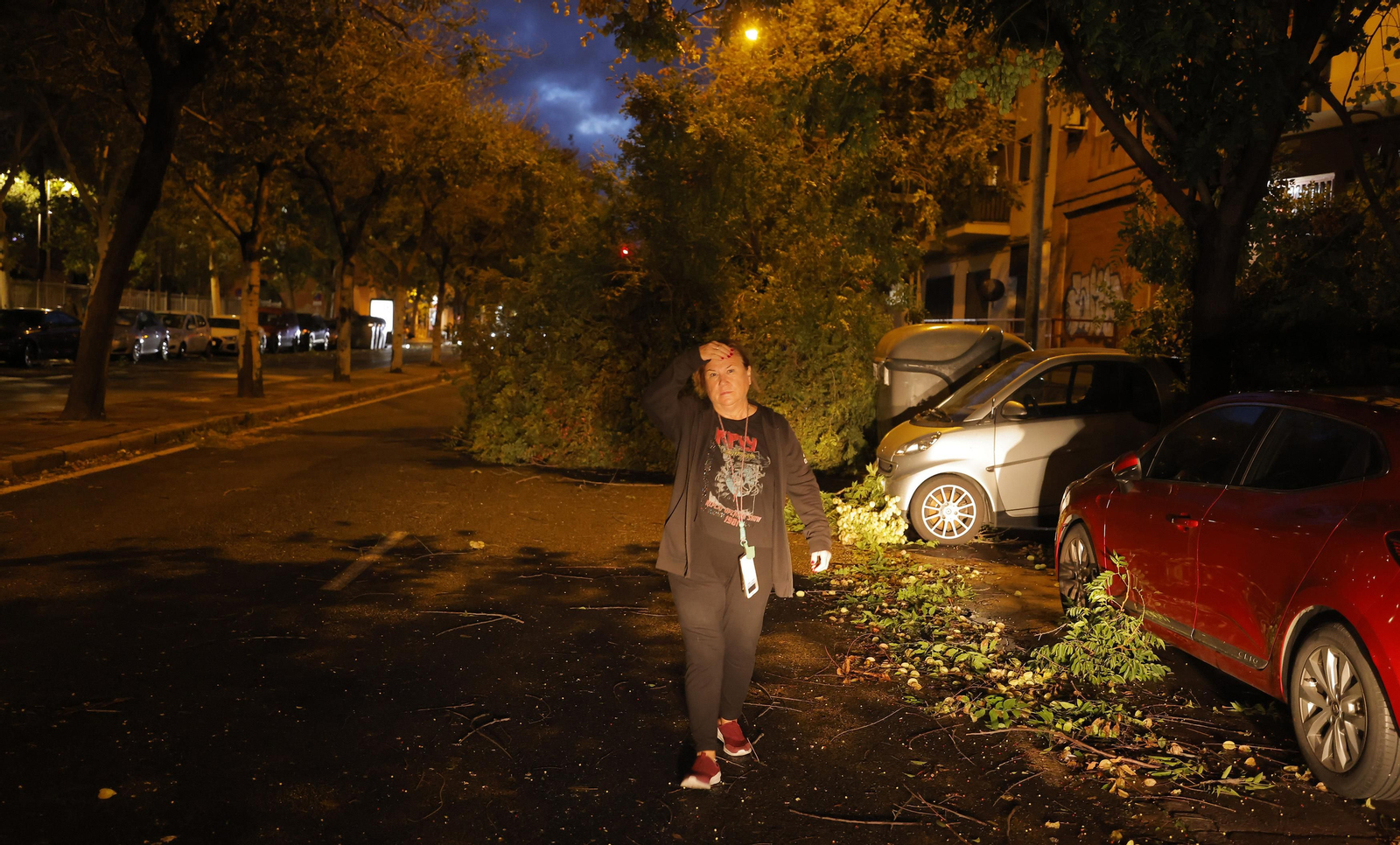 Los efectos de la borrasca 'Bernard' en Sevilla, todas las fotos