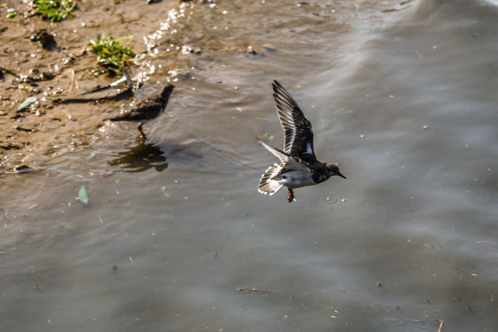 Fotografías del ambiente en la ciudad con el paso de la borrasca Leonardo