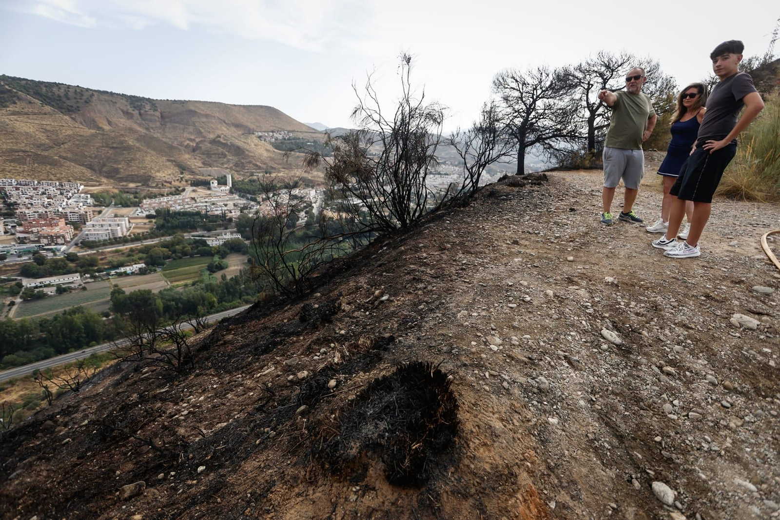 Las imágenes de la Fuente de la Bicha de Granada tras las llamas