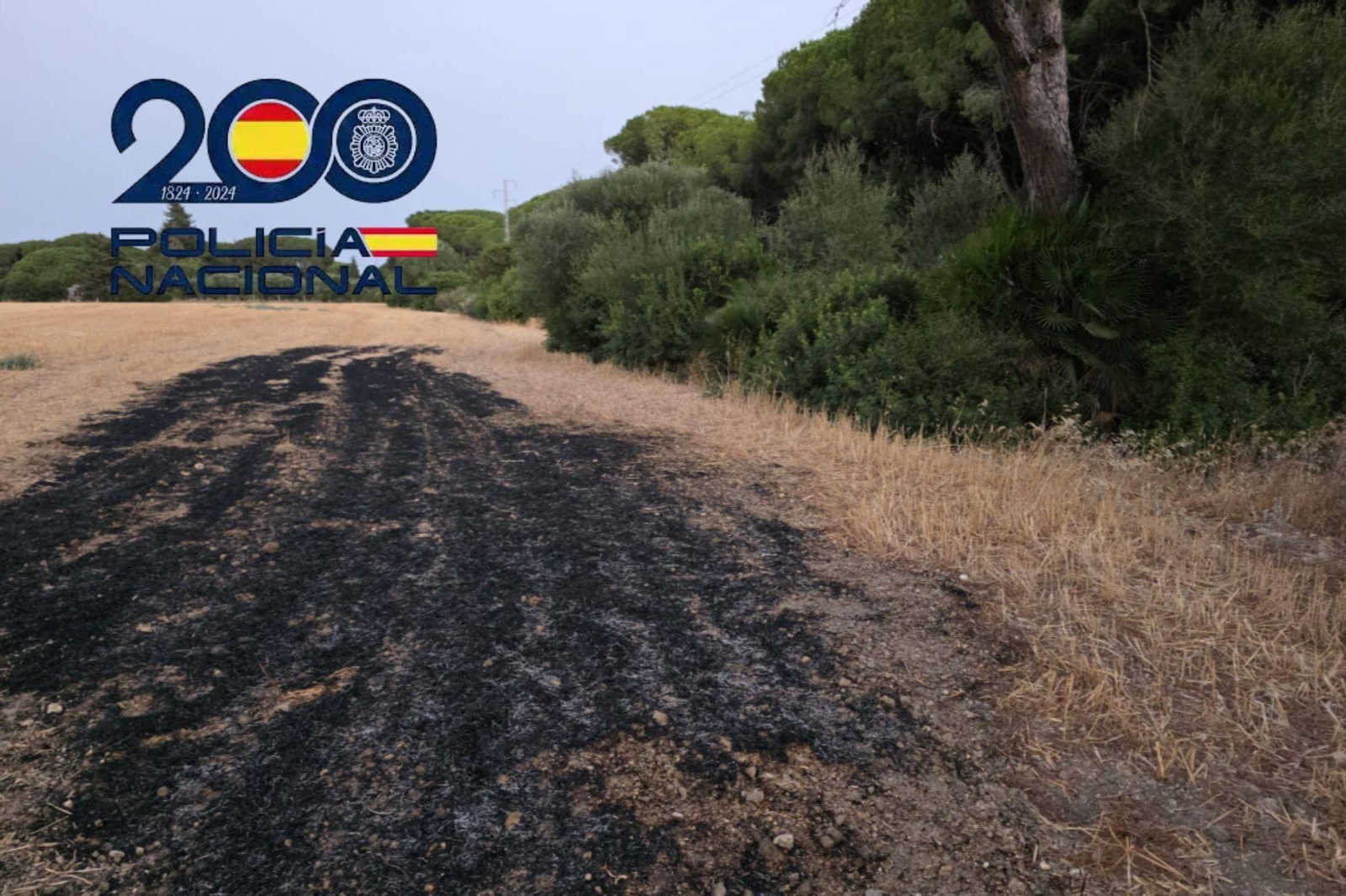 Zona quemada por un incendio forestal en Puerto Real