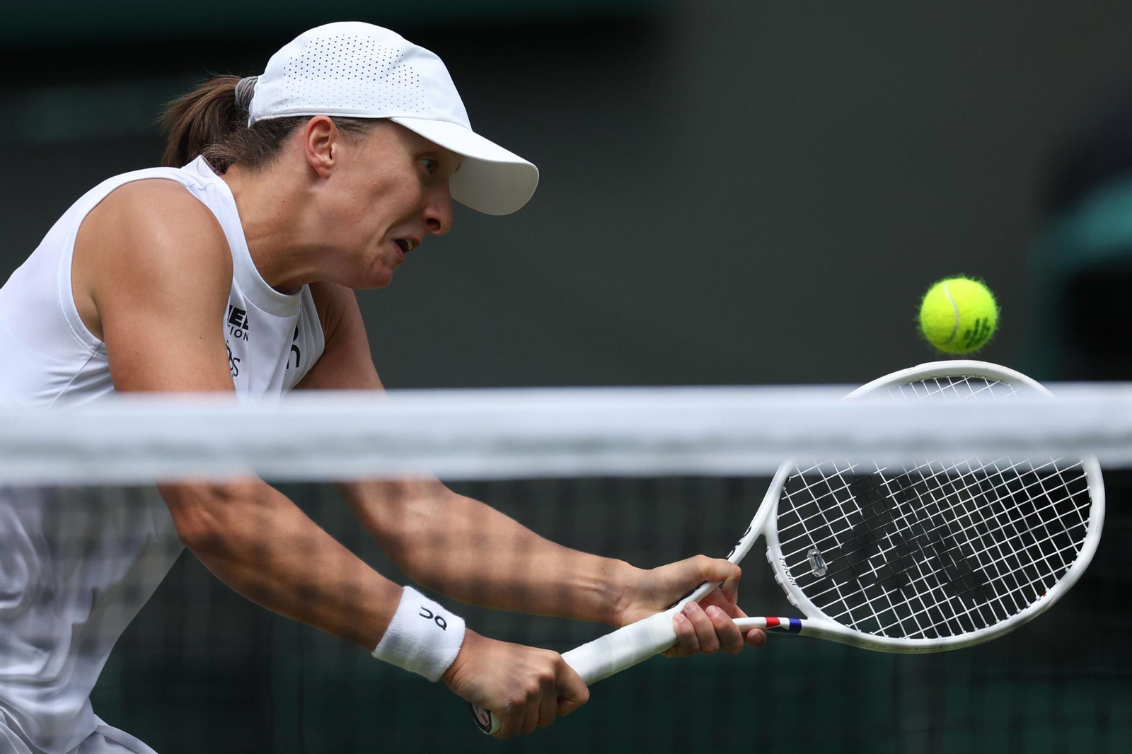 Las fotos de Wimbledon con las clasificaciones de Djokovic y Sinner