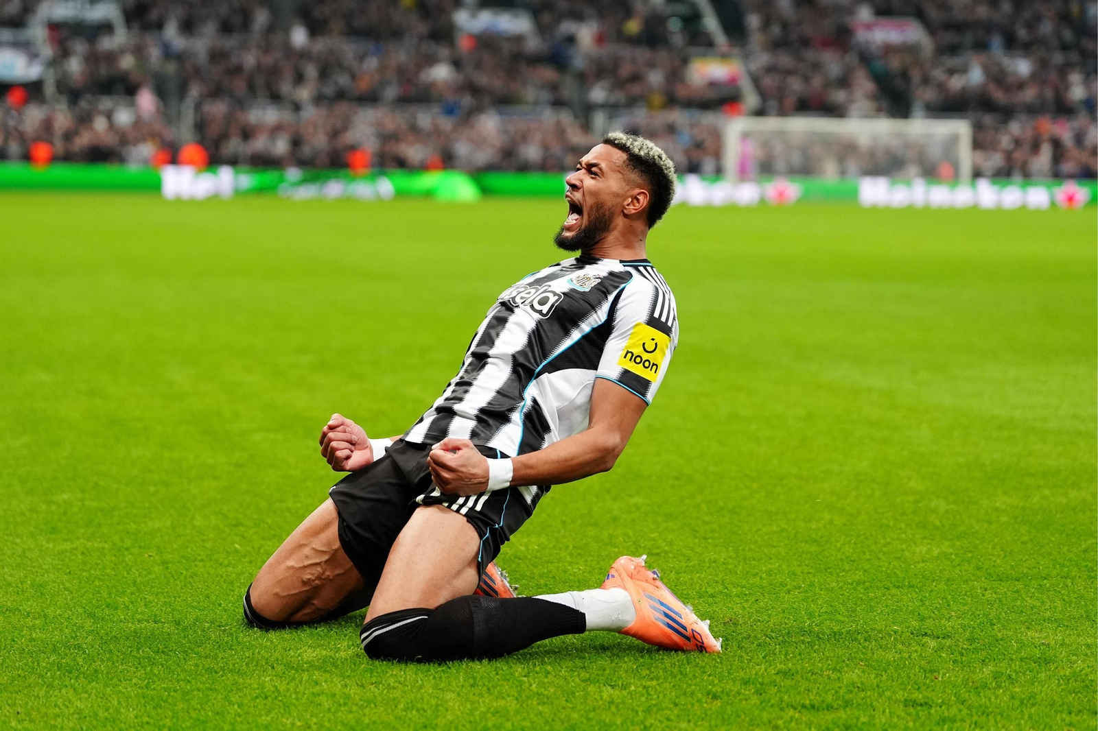 Las imágenes del Newcastle-Athletic