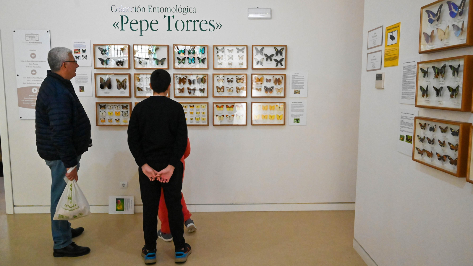 Las fotos de la colección etimologica de Pepe Torres en el Museo Cruz Herrera