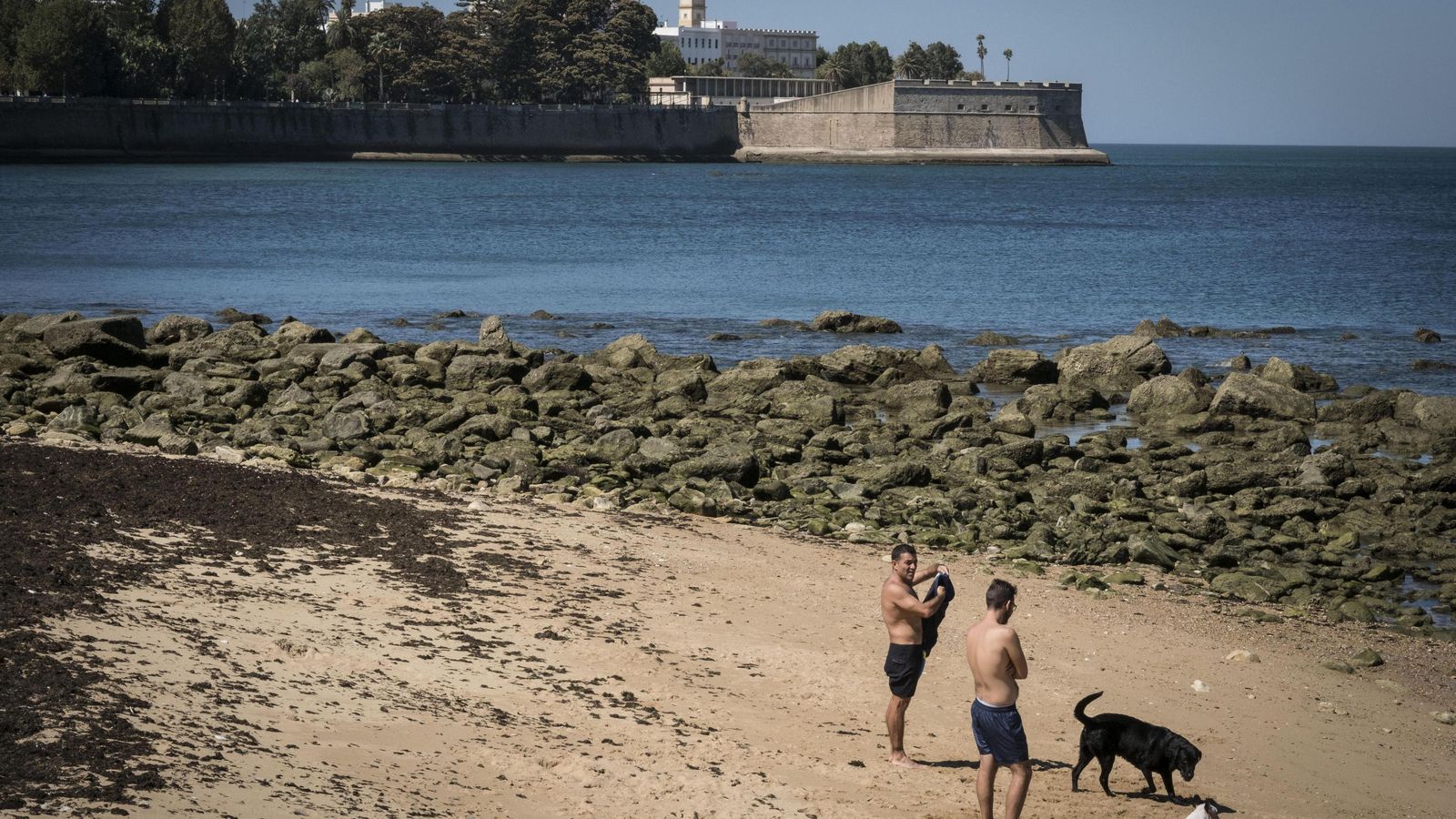 Perros, con sus dueños, en la playita de la Punta de San Felipe, en Cádiz. Perros, con sus dueños, en la playita de la Punta de San Felipe, en Cádiz.
