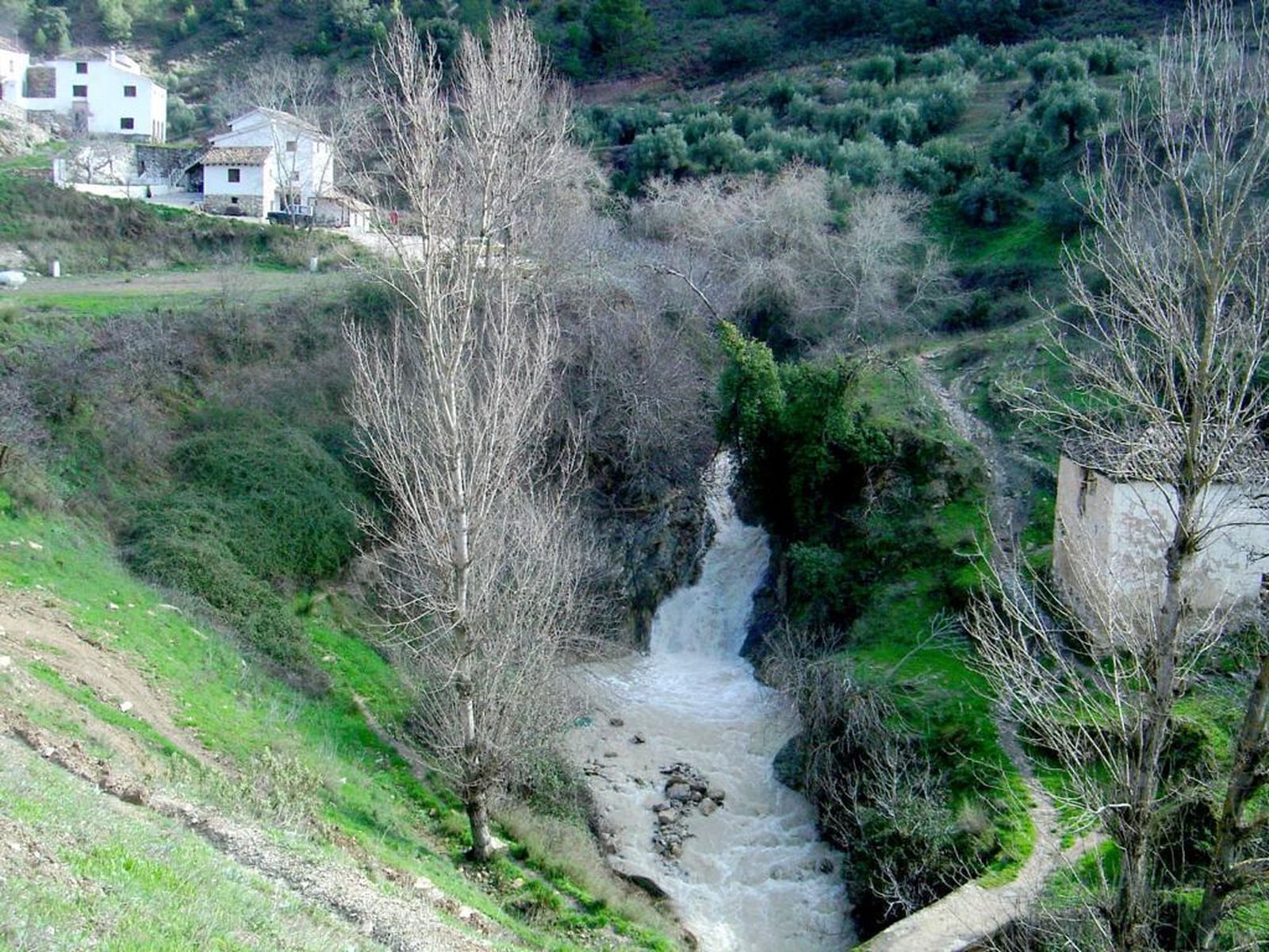 Paraje de Montefrío.