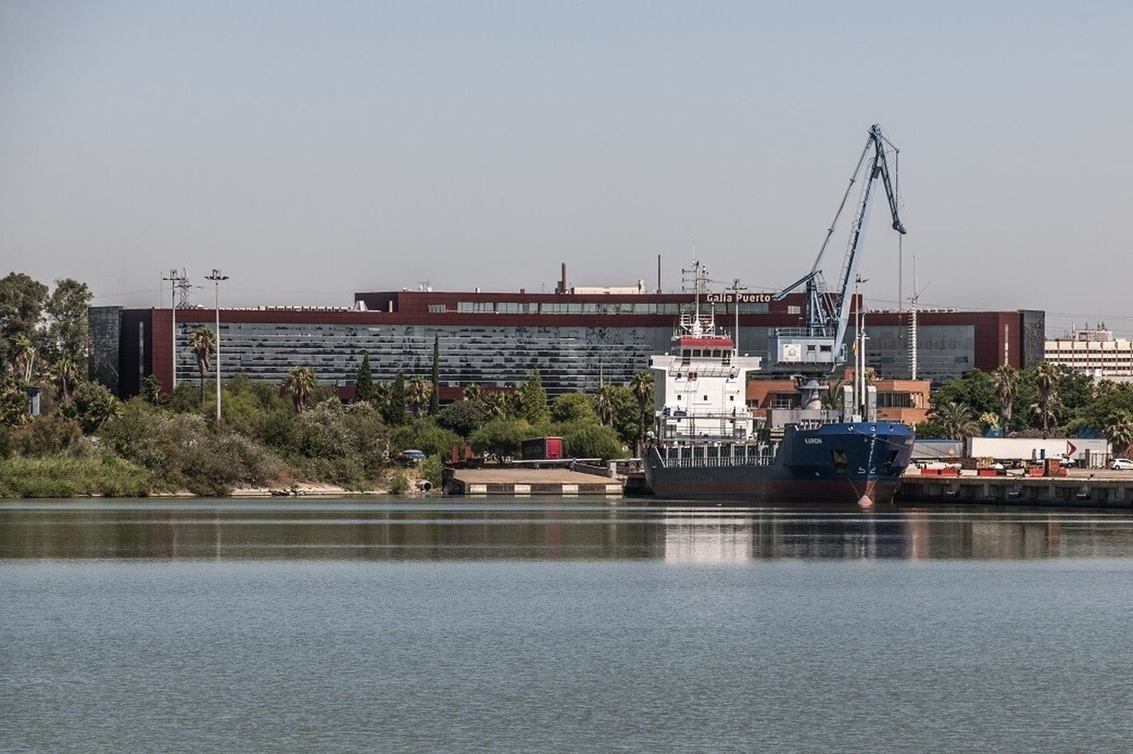 Una vista del edificio Galia Puerto.