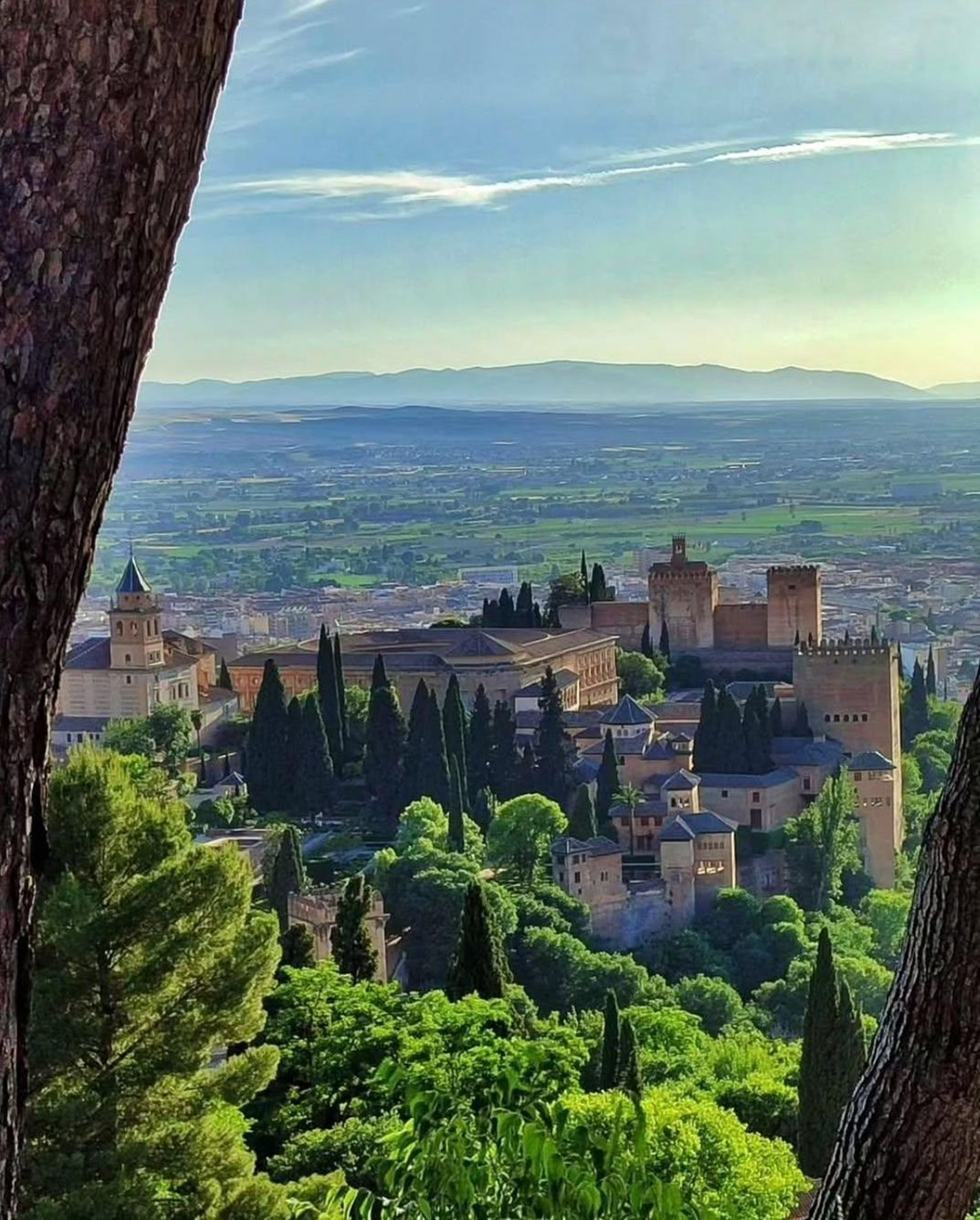 La instantánea de Adelaida Martínez es la única representante granadina entre los 14 finalistas