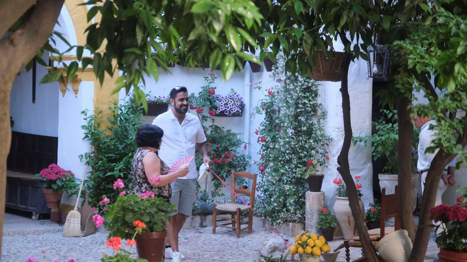 El patio de Santa Marta, 10.