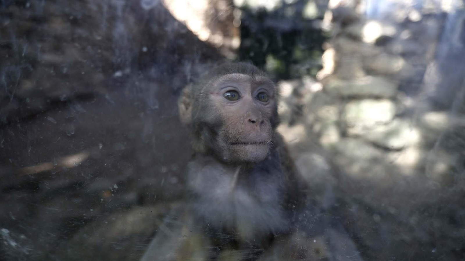 Las fotos del Zoo de Castellar de la Frontera