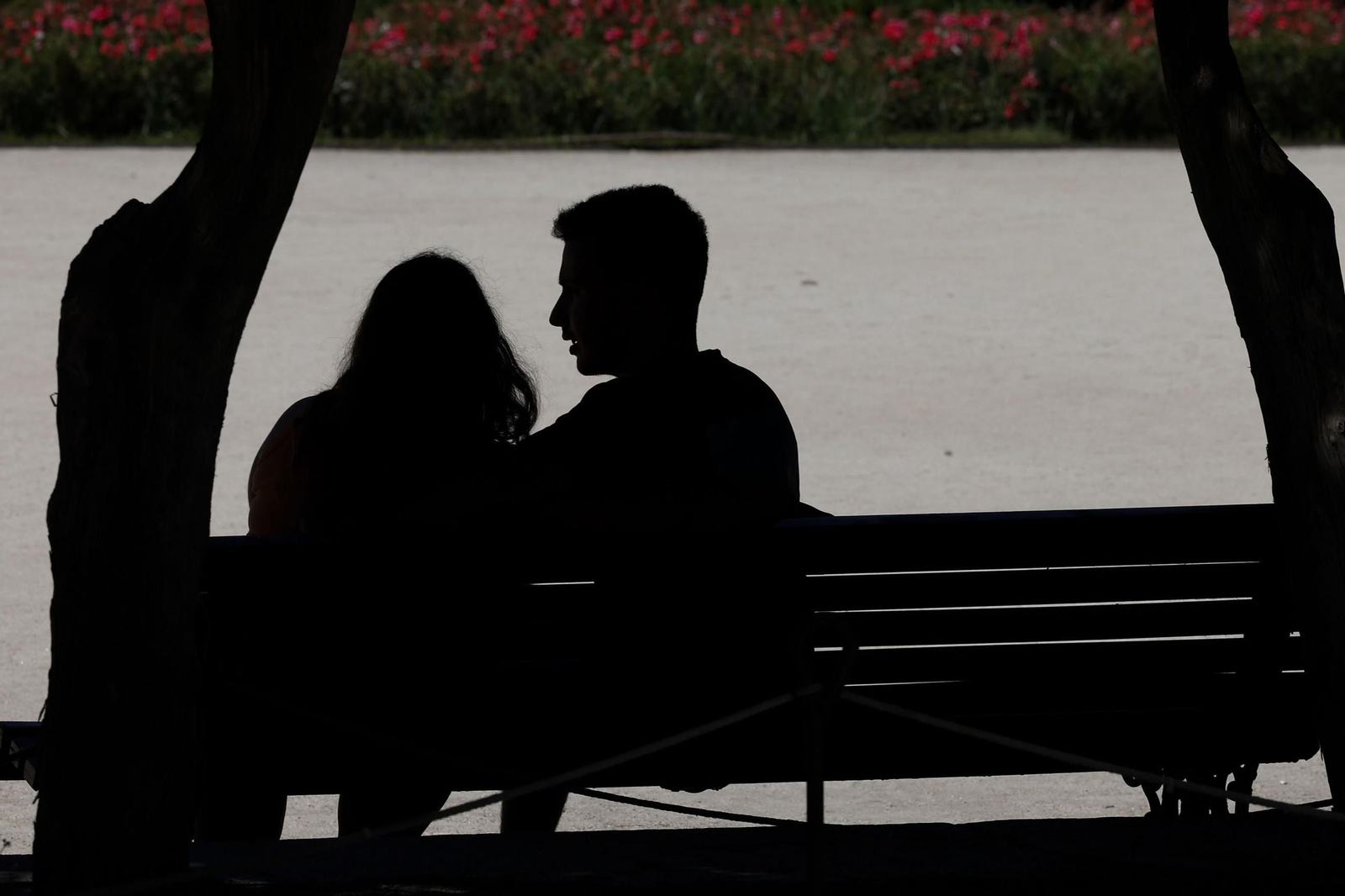 Una pareja joven en un parque. Una pareja joven en un parque.