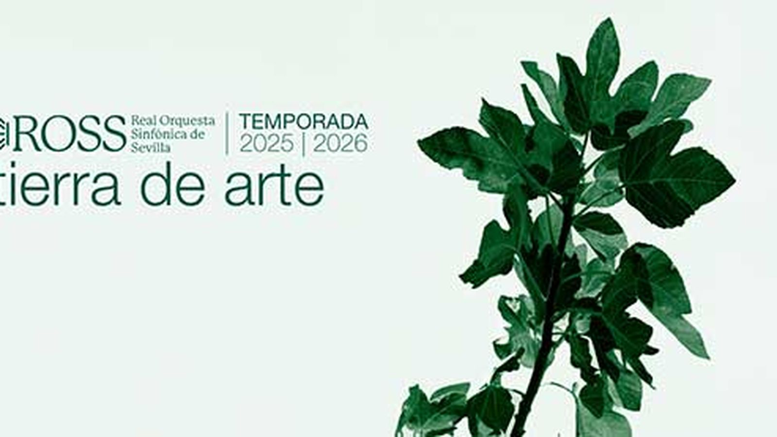 ROSS Temporada 2025/2026