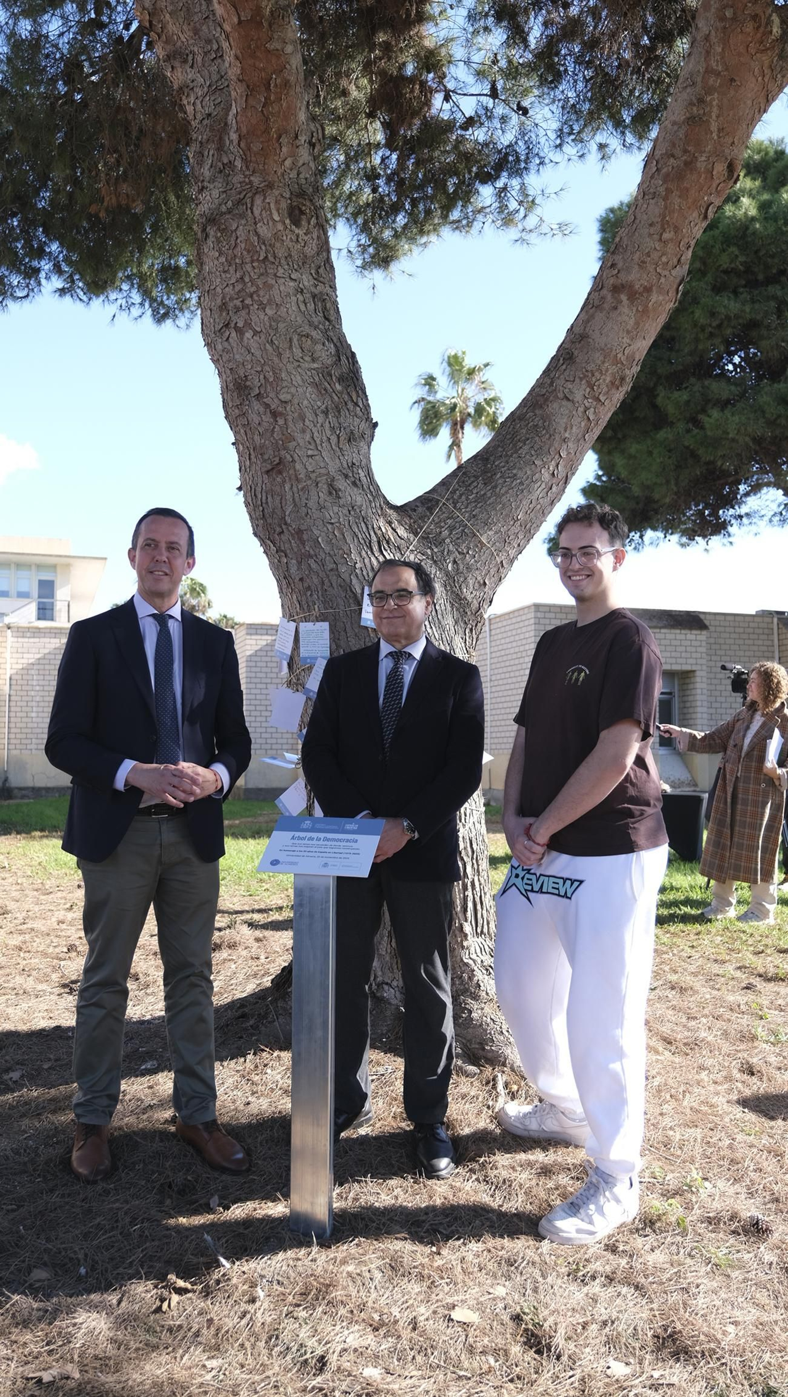 El árbol de la democracia de la Universidad de Almería, en imágenes