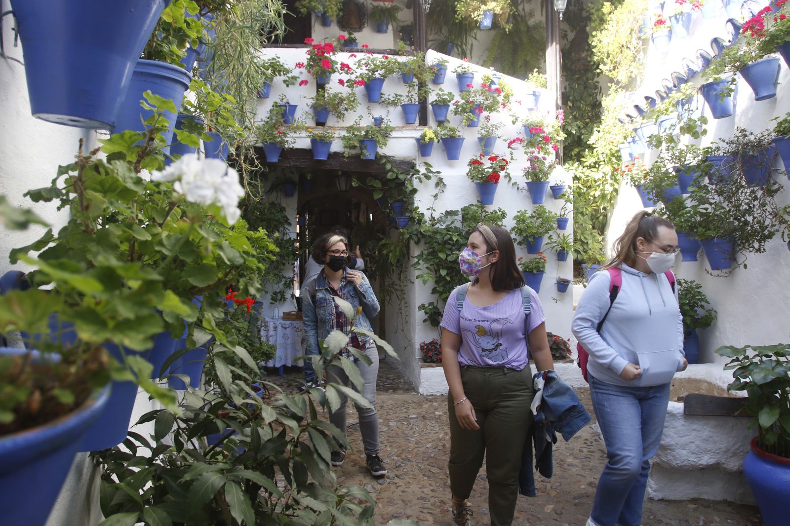 Las fotografías de los Patios de Córdoba en otoño