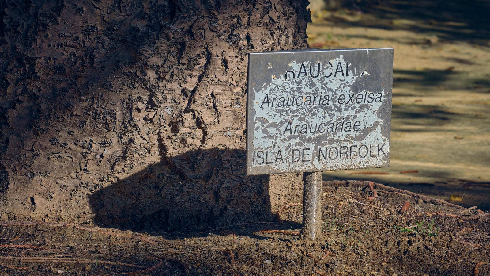 La cartelería que informa de los nombres de las especies vegetales aparecen muy deterioradas y estropeadas.