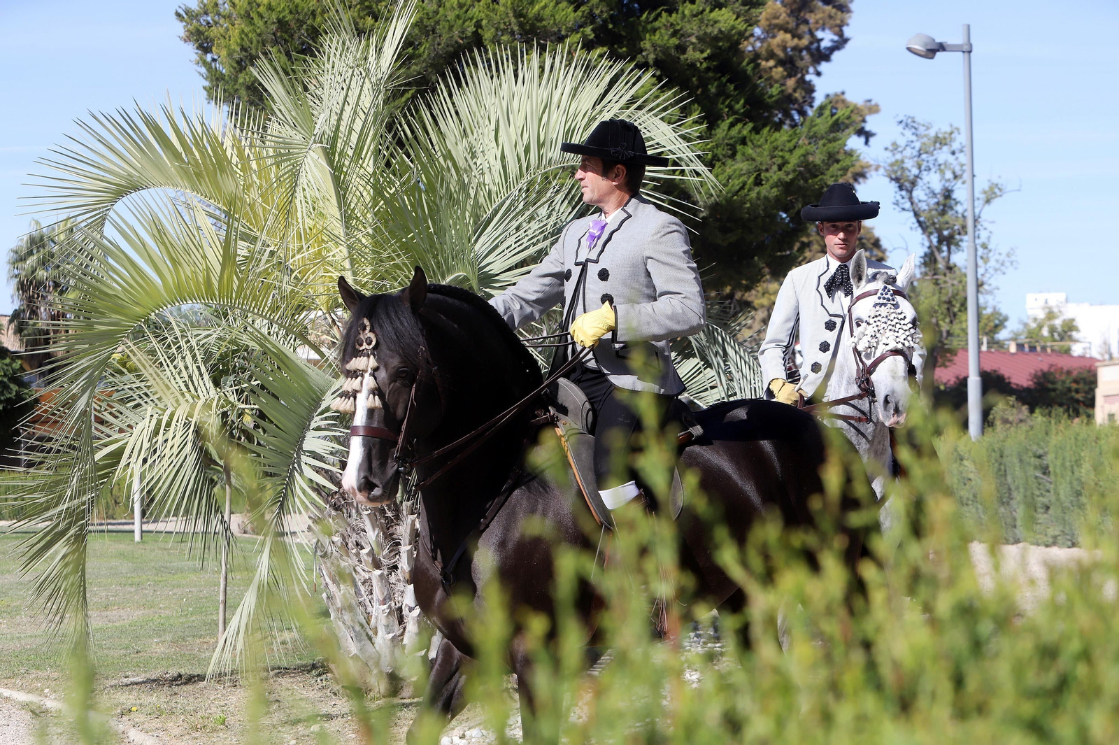 XVII Campeonato de Andalucía de Doma de Alta Escuela