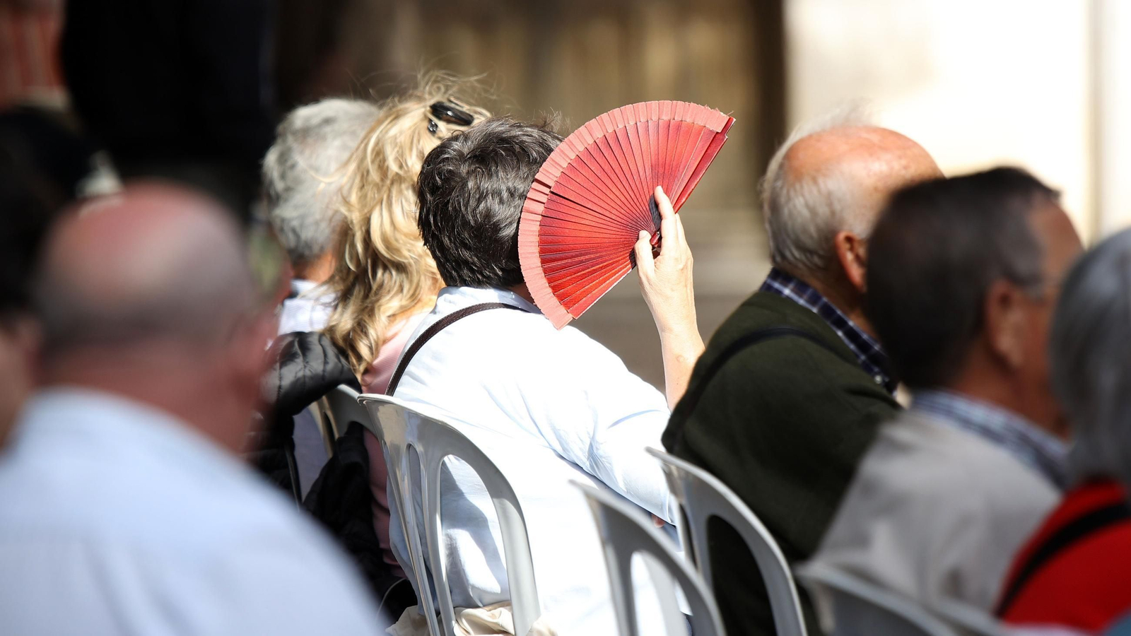 Imágenes del Día del Flamenco 2024 en Jerez