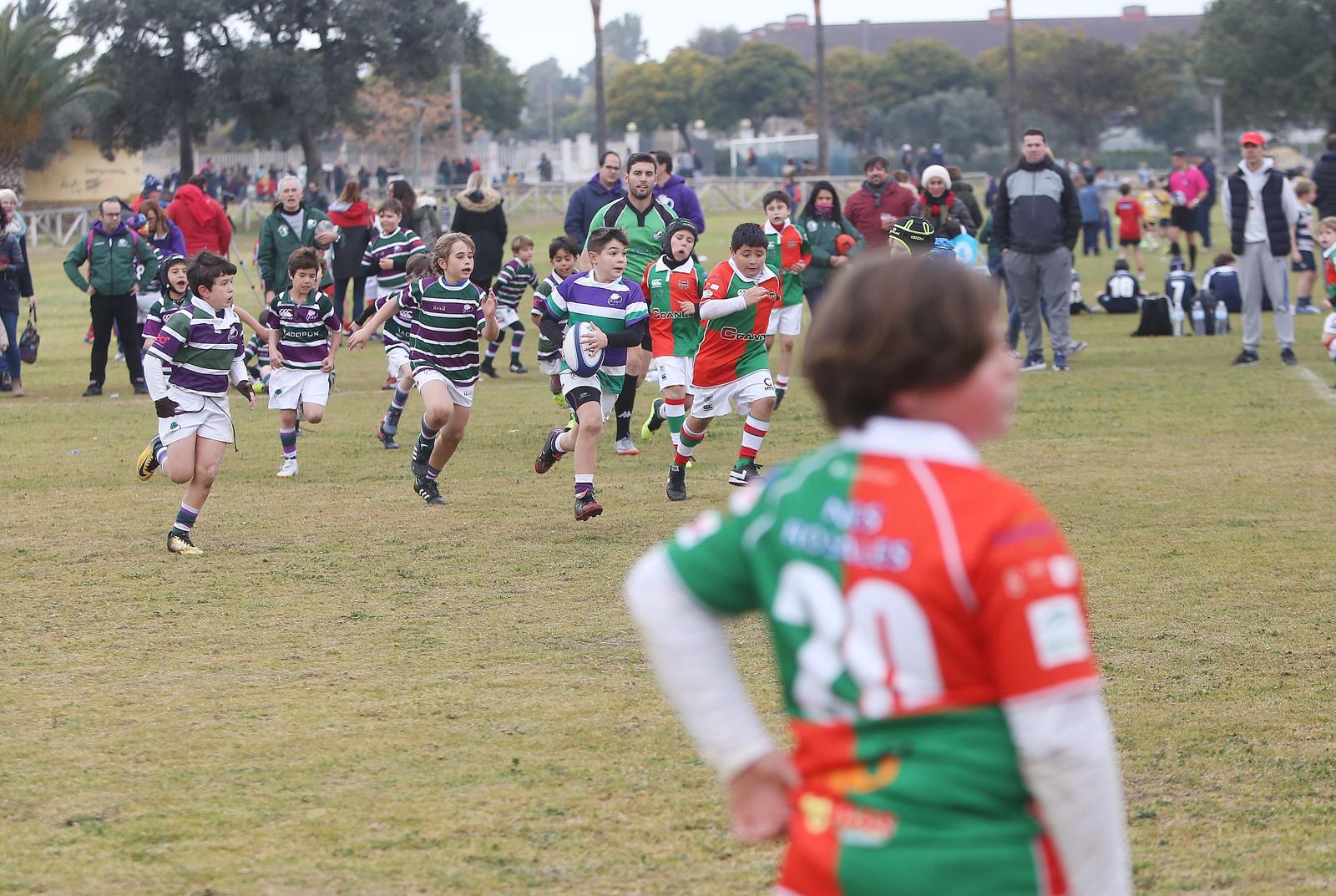I Torneo Andaluz de Rugby Gradual en la Pradera Hípica