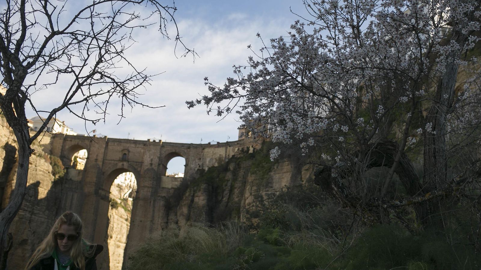 Un almendro en flor con el Tajo de Ronda detrás.