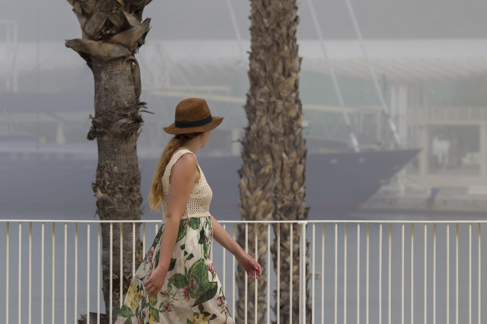 El taró provoca la prohibición del baño en las playas de Málaga, en imágenes