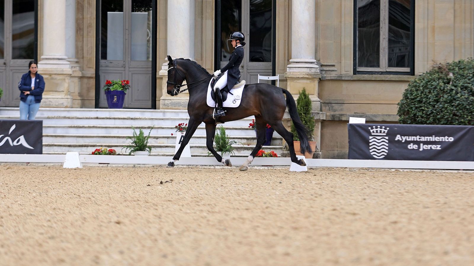 Concurso Internacional de Doma Clásica en La Real Escuela de Jerez