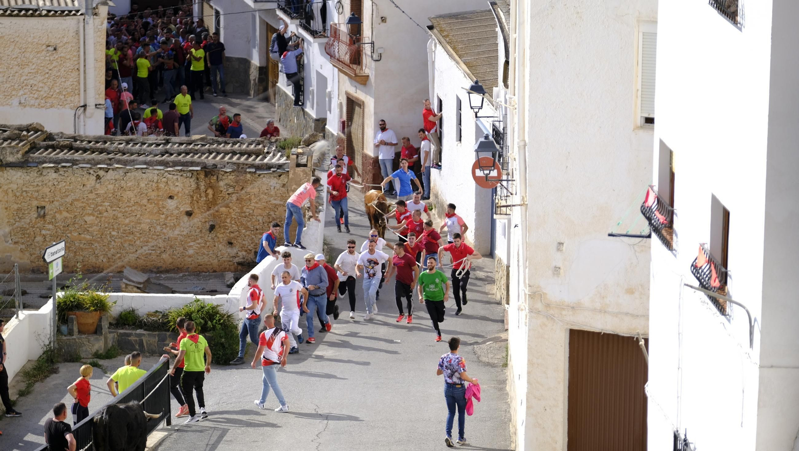 Los toros ensogados de Ohanes, en imágenes