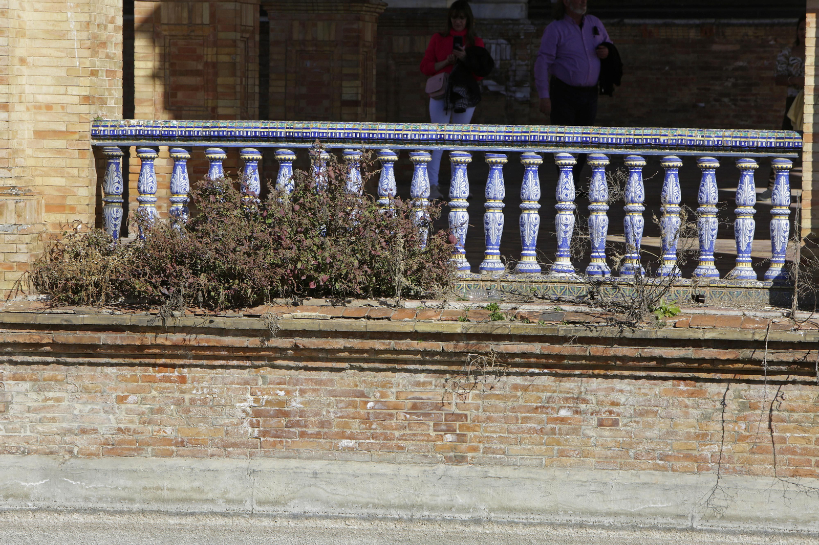 Mal estado de los arriates y plantas en la Plaza de España
