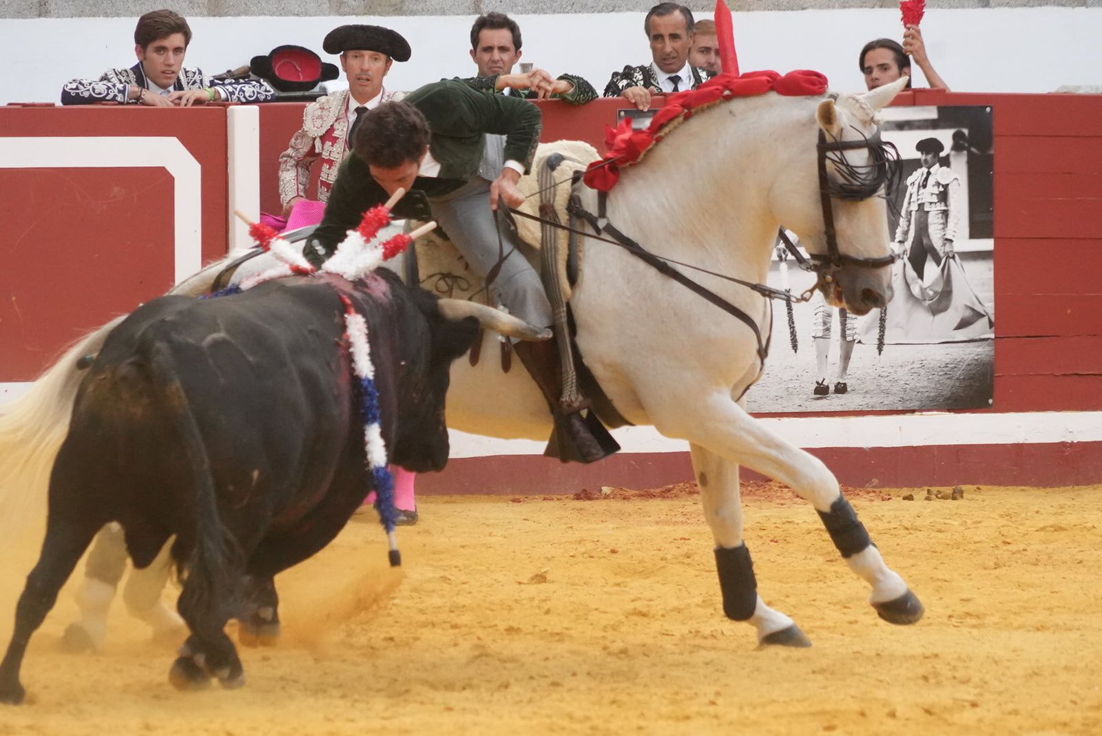 El triunfo del rejoneador Guillermo Hermoso de Mendoza en Pozoblanco, en imágenes