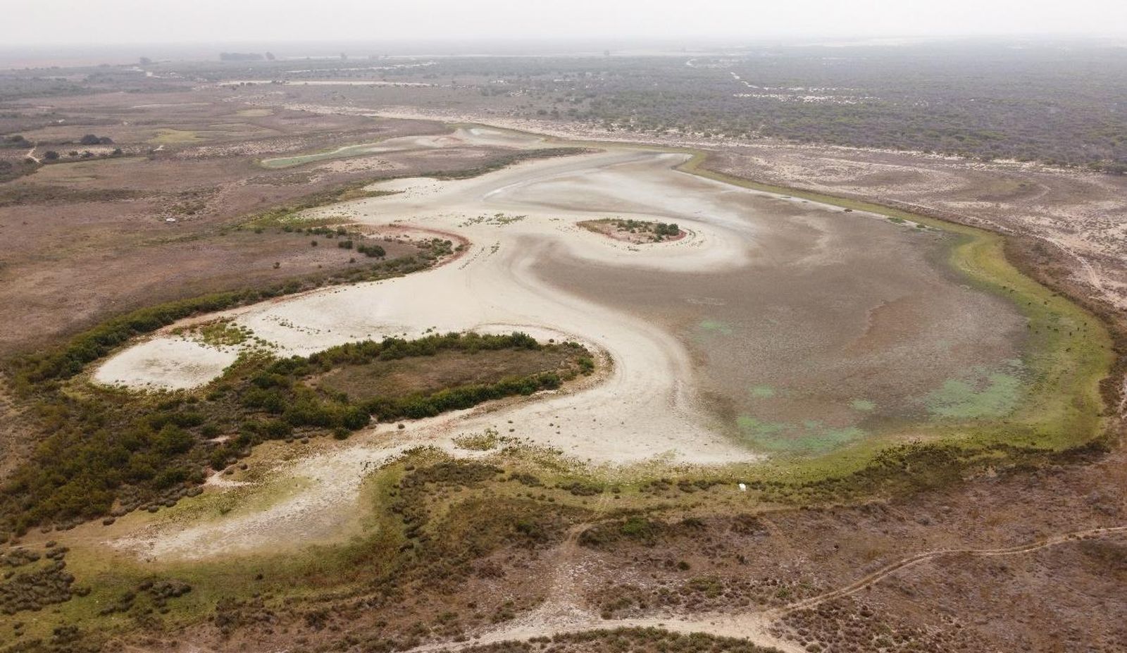 Imagen de la laguna más grande de Doñana completamente seca