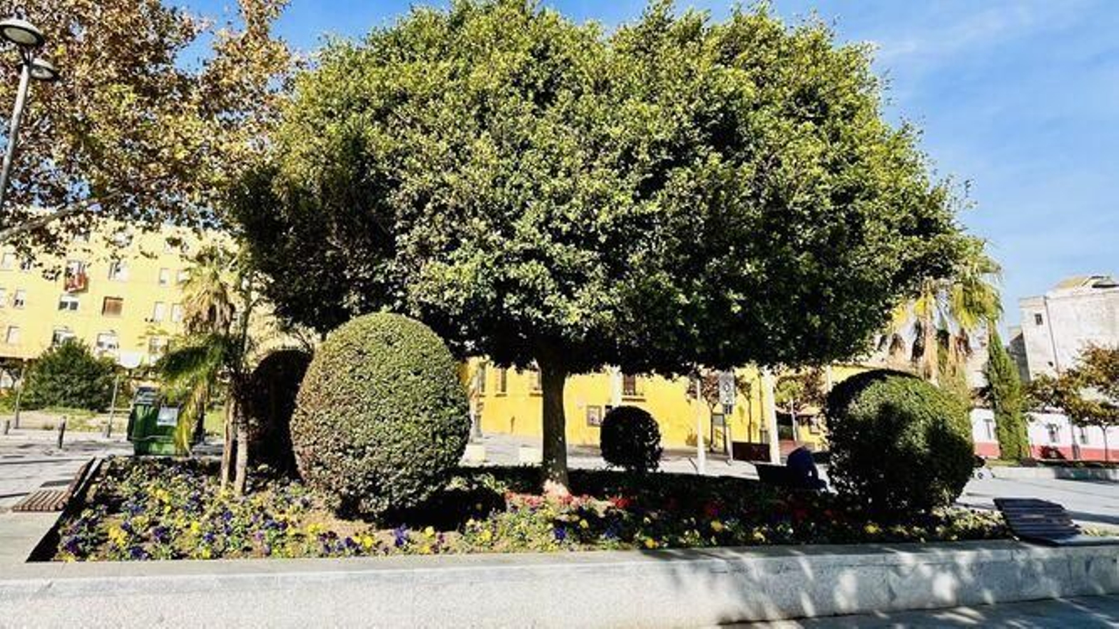 Uno de los parterres de la avenida de la Bajamar.